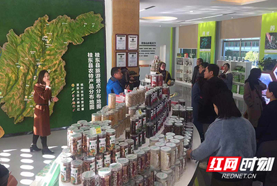 【解碼桂東脫貧突圍之道 】產業先行、四規合一,生態就是成功密碼