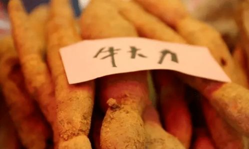 好嗨喲 東方市江邊鄉黎族傳統節日 山欄節 活動日程出爐,一起約起來
