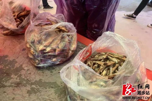 梅龍冬筍俏市場(chǎng) 消費(fèi)扶貧助增收
