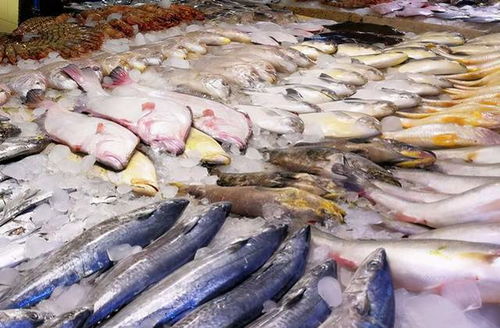 鯉魚價格翻倍,鯽魚上漲6元,草魚漲破10元 水產品市場咋回事