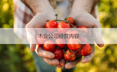廣西南寧豐林木業(yè)集團(tuán) 南寧豐林木業(yè)招聘