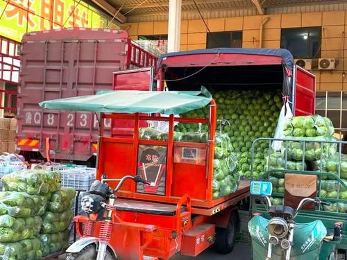 對接長三角農產品供應 山東強盛集團打造魯南蘇北農副產品集散地