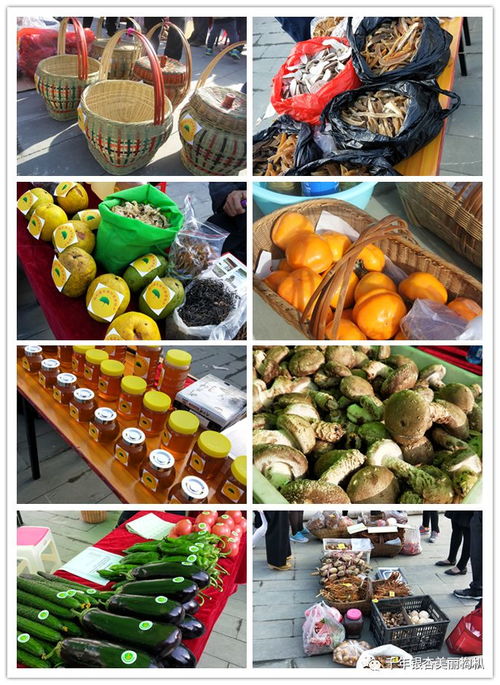 白河縣東坡村 扶貧 旅游 公益 暨農(nóng)副產(chǎn)品推介活動盛大啟幕
