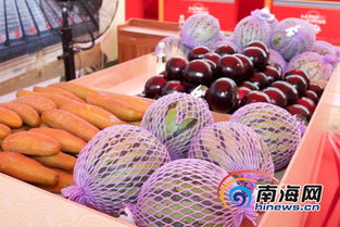 海口冼夫人文化節(jié)農(nóng)副集市開市 土特產(chǎn)成搶手貨