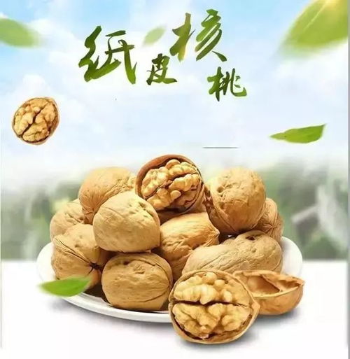大張第二屆新疆特產節 新疆直采,好產地,好品質,好價格