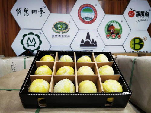 樂昌九峰鎮以黨建引領發展特色農業 產業興旺助力脫貧致富