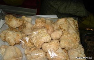 土特產 農副產品 猴頭菌